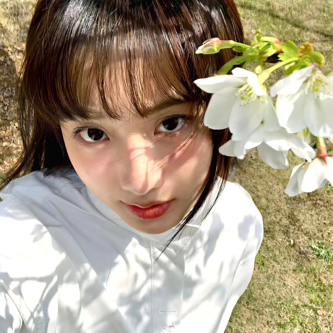 情歌春恋 在线观看