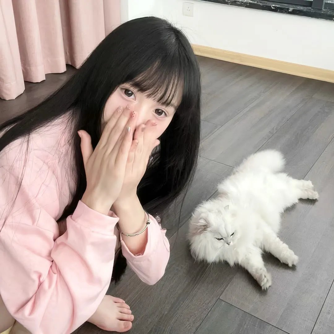 中国造 在线观看
